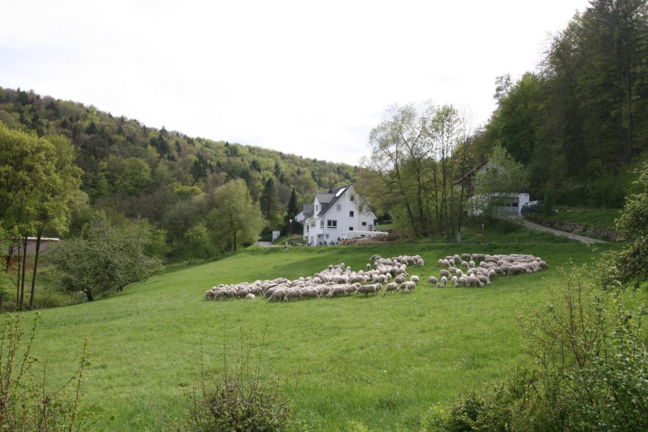 B&B Arlesbrunnen Egloffstein Ngoại thất bức ảnh