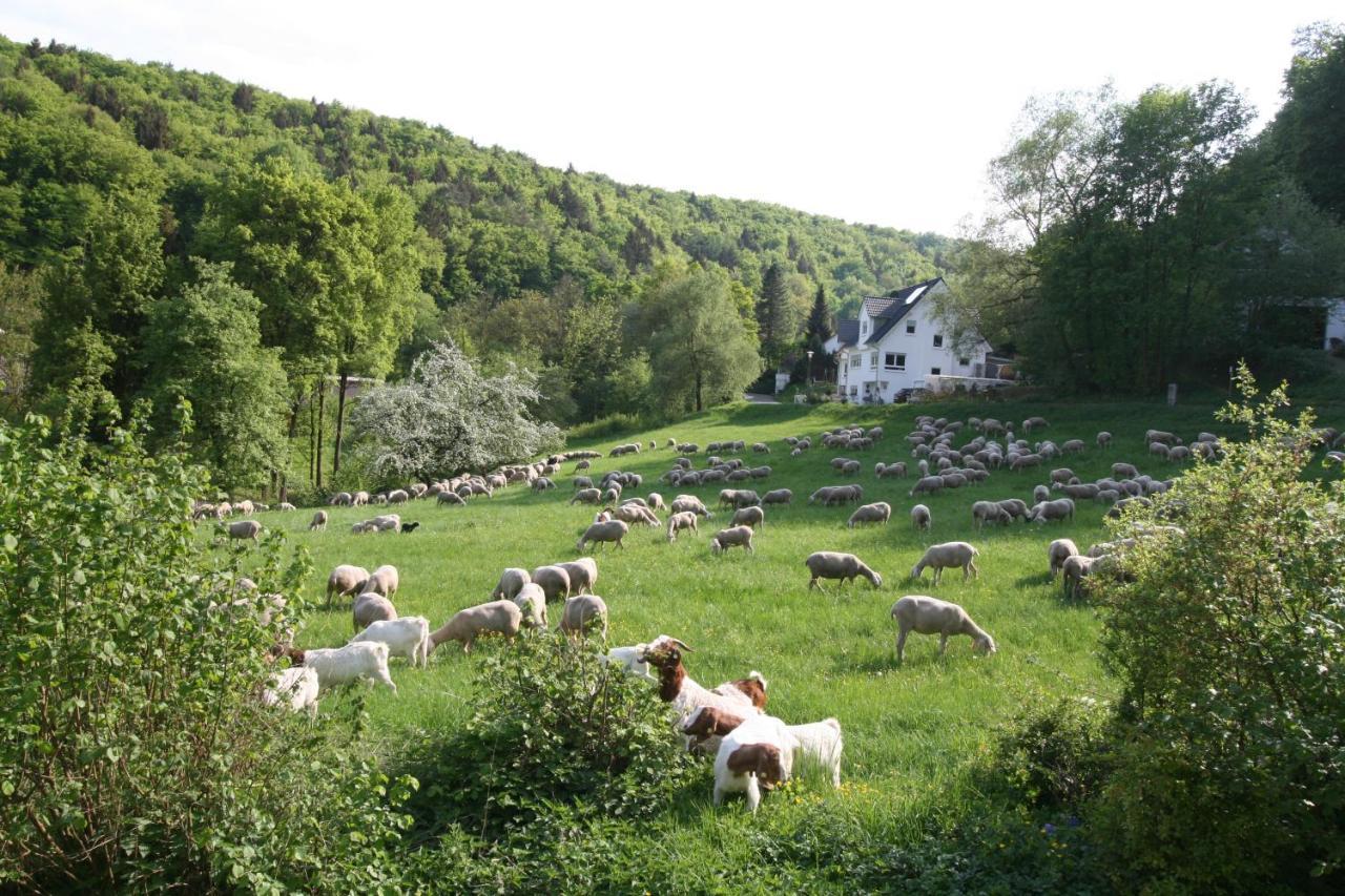 B&B Arlesbrunnen Egloffstein Ngoại thất bức ảnh